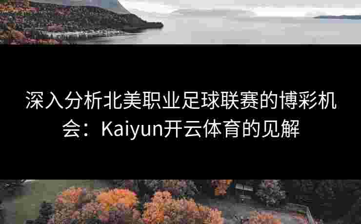 深入分析北美职业足球联赛的博彩机会：Kaiyun开云体育的见解